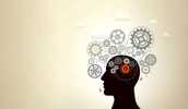les-competences-indispensables-pour-un-developpeur